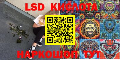 бошки Гатчина