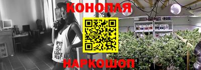 бошки Гатчина