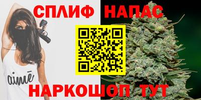 спайс Гай