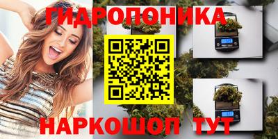 гидропоника Гусиноозёрск