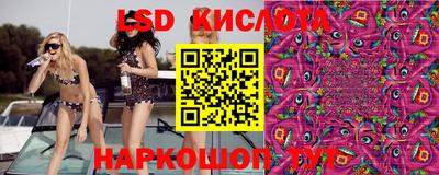 бошки Гатчина