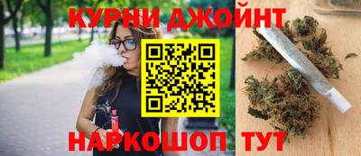 бошки Гатчина