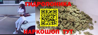 бошки Гатчина
