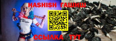 бошки Гатчина