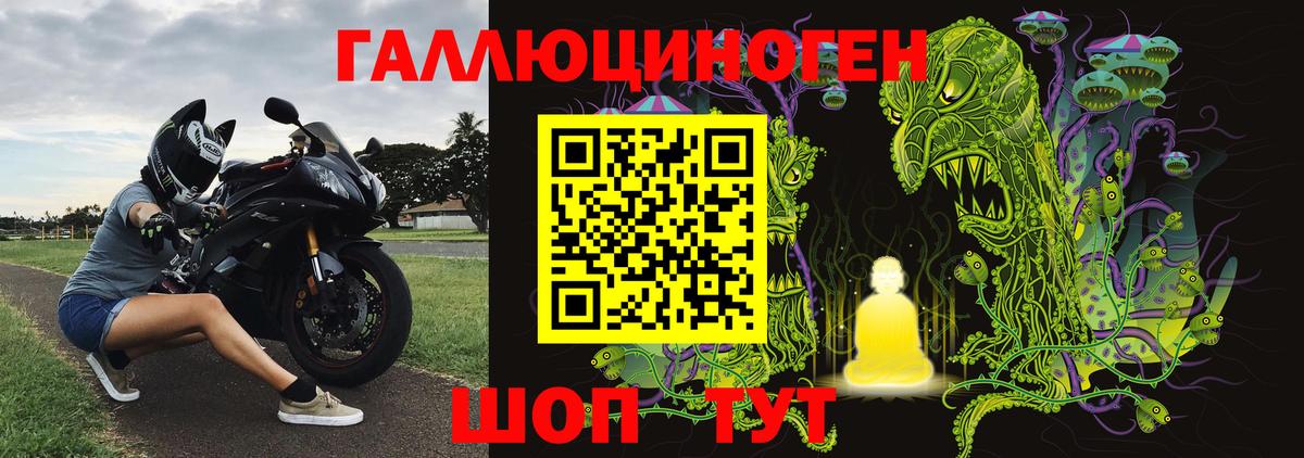 Псилоцибиновые грибы MAGIC MUSHROOMS  Вход с VPN  Псилоцибиновые грибы GOLDEN TEACHER  Выборг 